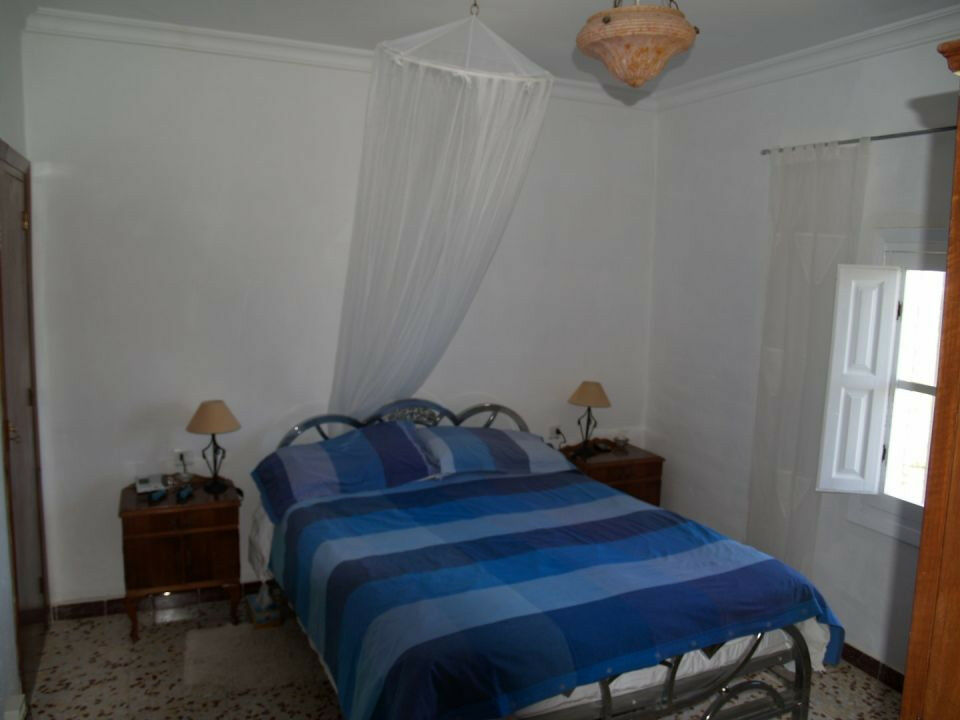 Finca - Cortijo Periana Málaga - image 12