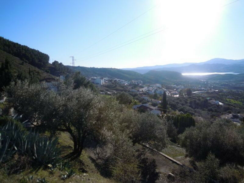 Detached Villa Alcaucín Málaga - image 12