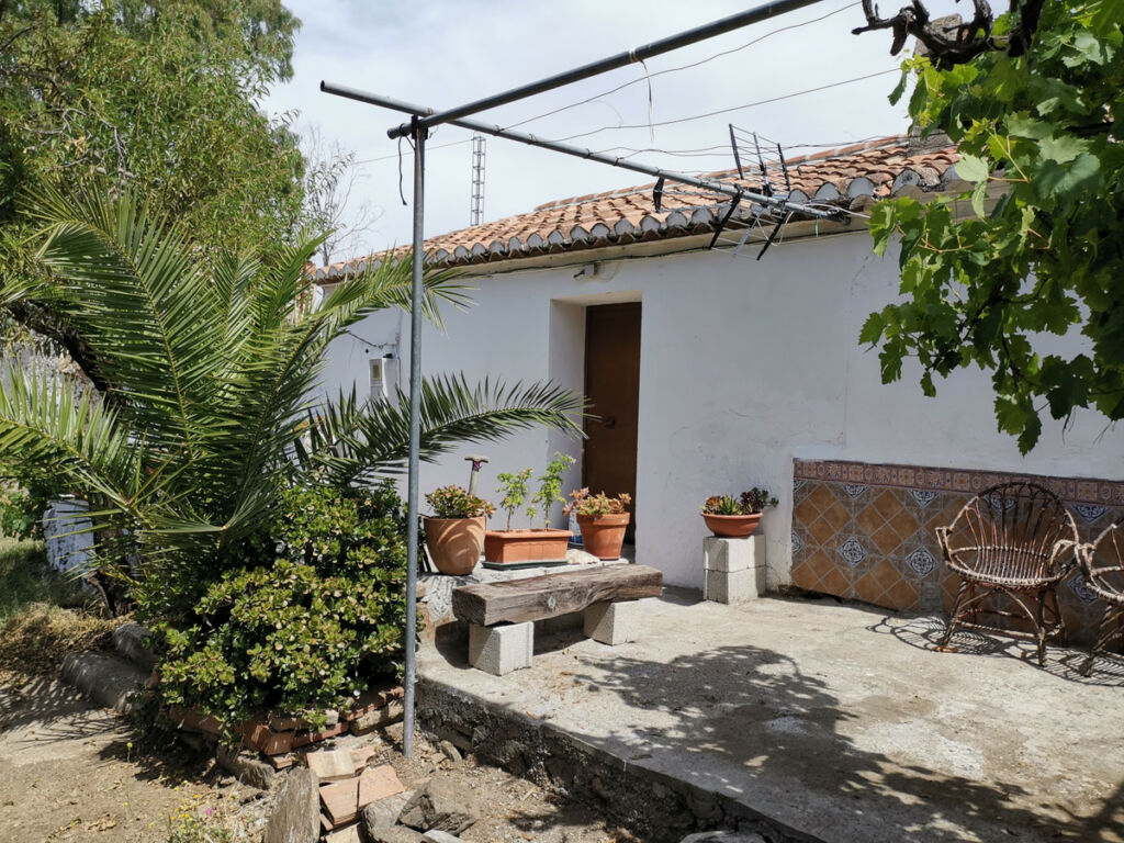 Finca - Cortijo Triana Málaga - image 12