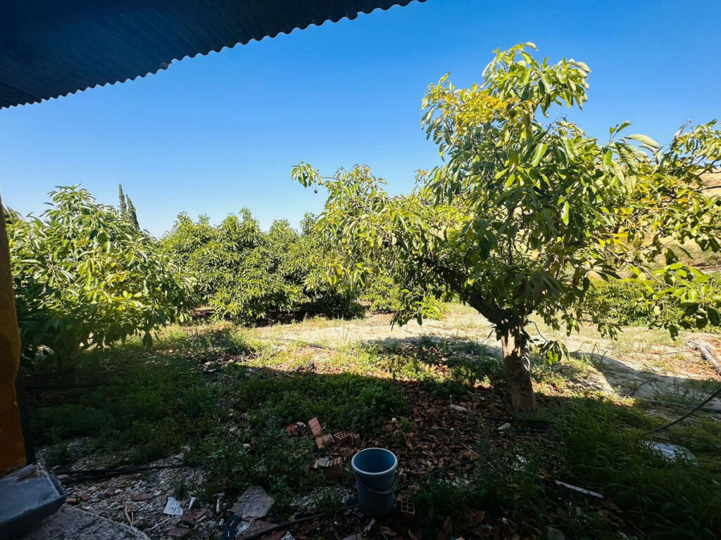 Finca - Cortijo Coín Málaga - image 12