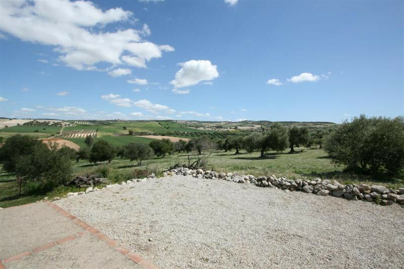 Finca - Cortijo Arcos de la Frontera Cádiz - image 12