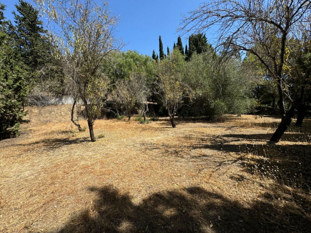 Residential Plot San Roque Cádiz - image 12