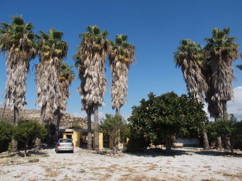 Detached Villa Almayate Málaga - image 12