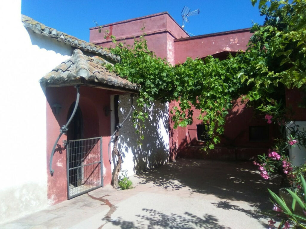 Finca - Cortijo Alcaucín Málaga - image 12