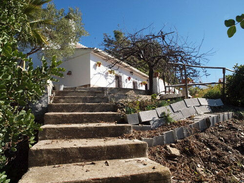 Finca - Cortijo Iznate Málaga - image 13