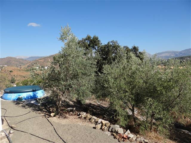Finca - Cortijo Colmenar Málaga - image 13