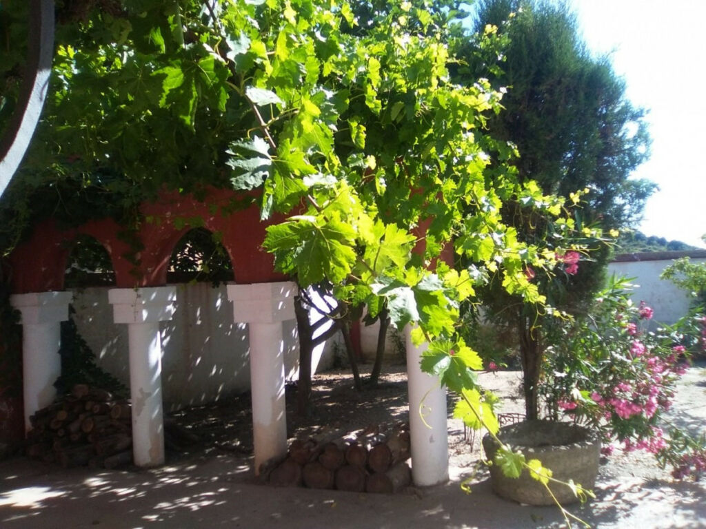 Finca - Cortijo Alcaucín Málaga - image 13