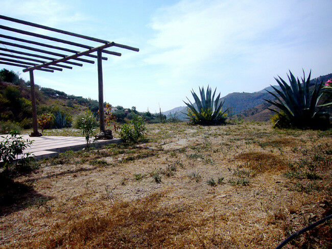 Finca - Cortijo Cómpeta Málaga - image 13