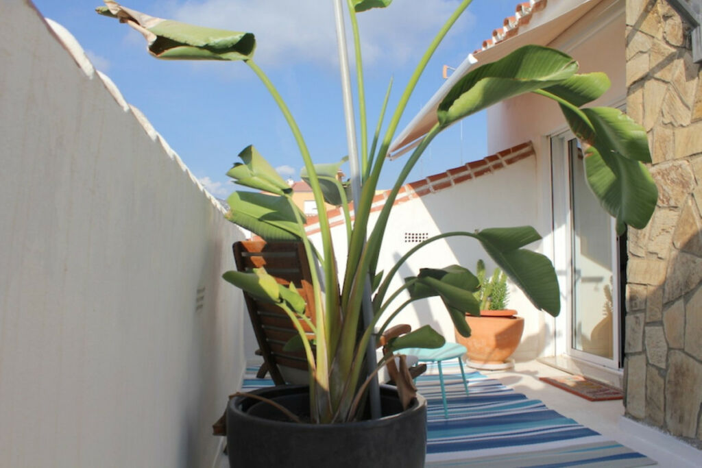 Detached Villa Vélez-Málaga Málaga - image 13