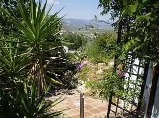 Finca - Cortijo Alcaucín Málaga - image 13