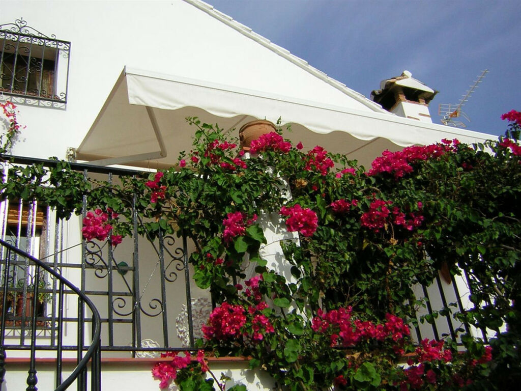 Detached Villa Chilches Málaga - image 13