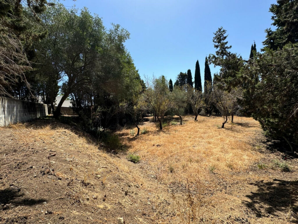 Residential Plot San Roque Cádiz - image 13