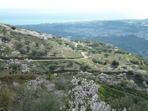 Detached Villa Vélez-Málaga Málaga - image 13