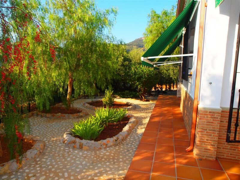 Finca - Cortijo Alcaucín Málaga - image 13