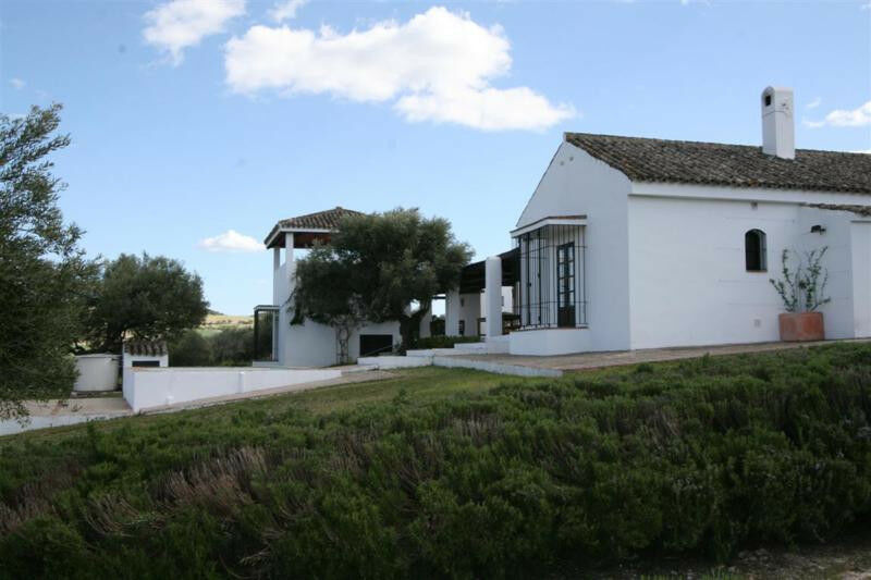 Finca - Cortijo Arcos de la Frontera Cádiz - image 14