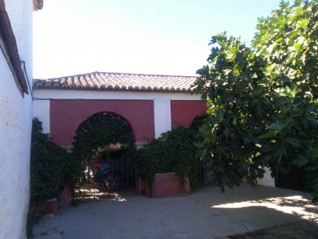 Finca - Cortijo Alcaucín Málaga - image 14