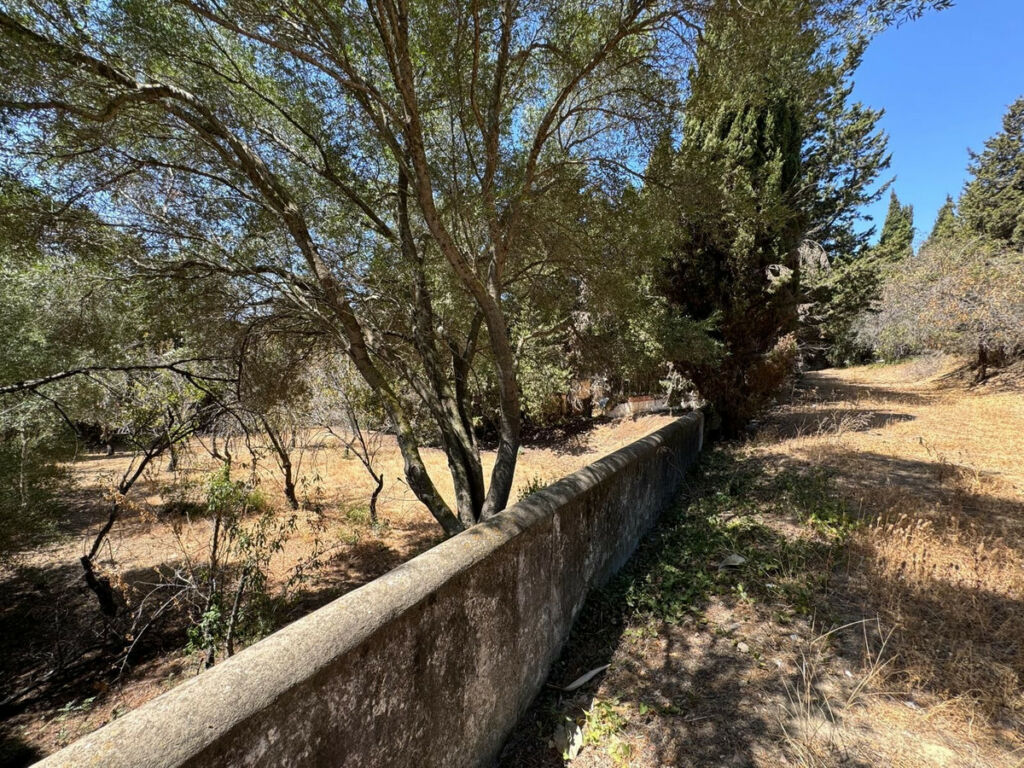 Residential Plot San Roque Cádiz - image 14