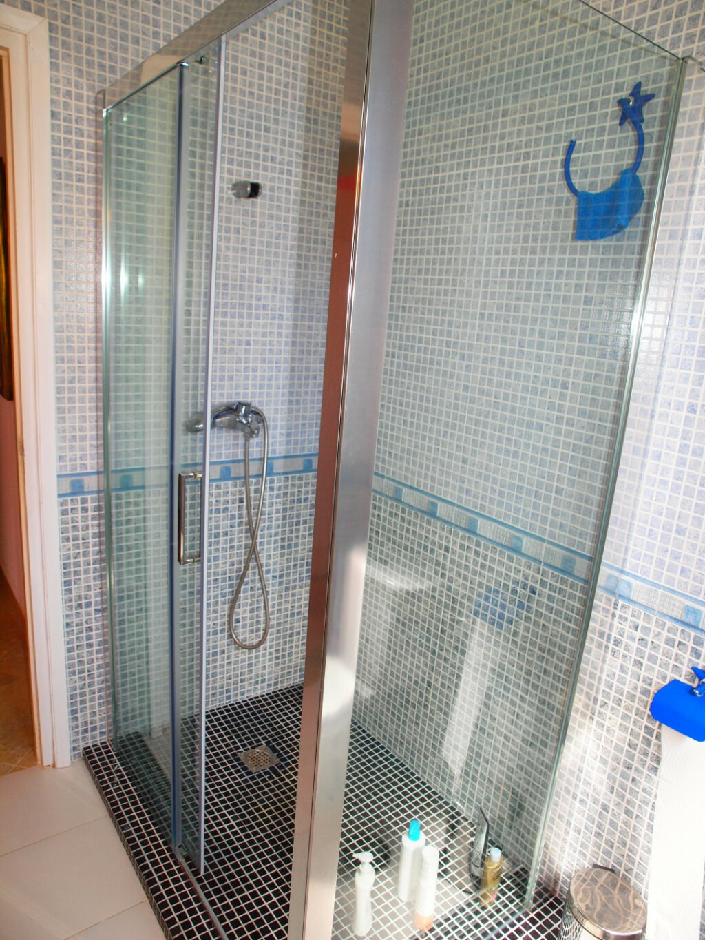 Detached Villa Benajarafe Málaga - image 14
