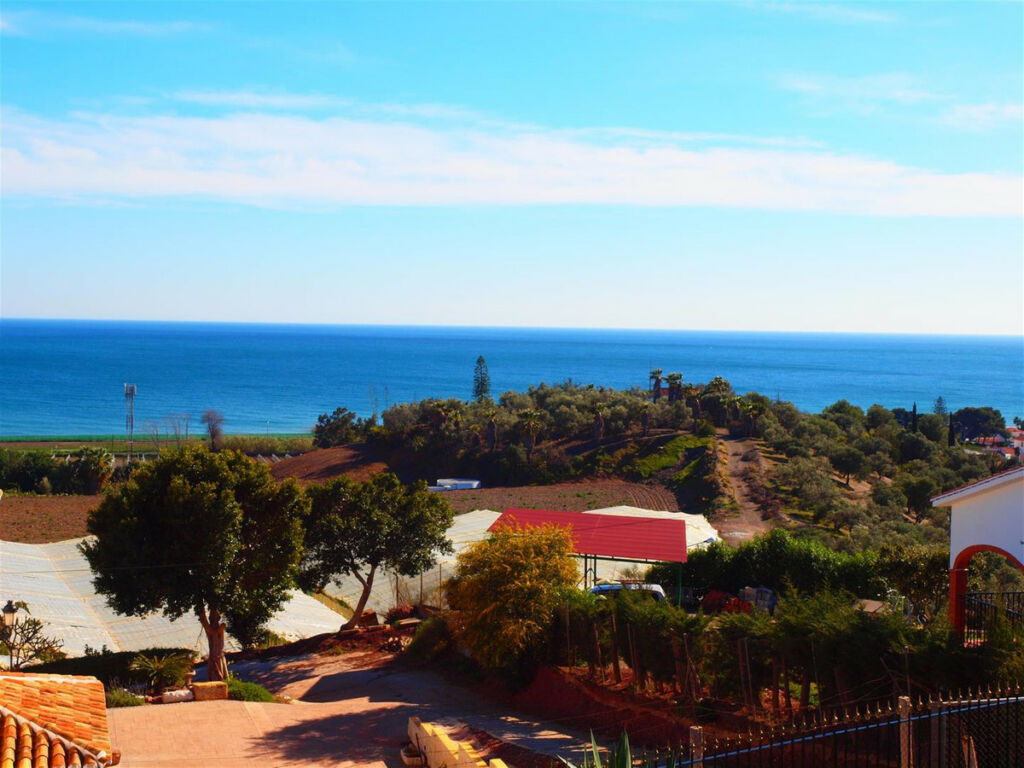 Detached Villa Almayate Málaga - image 14