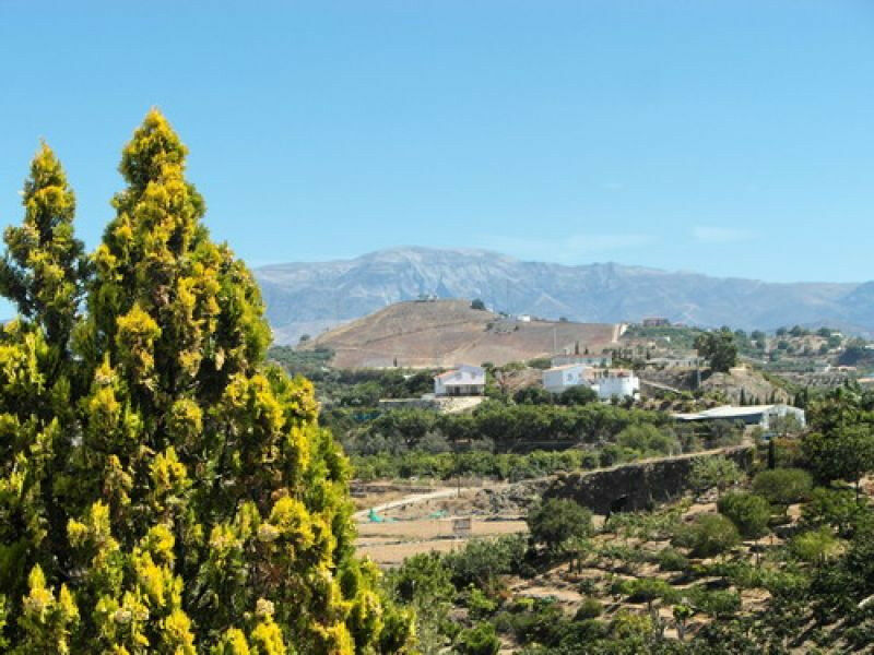 Detached Villa Almayate Málaga - image 14