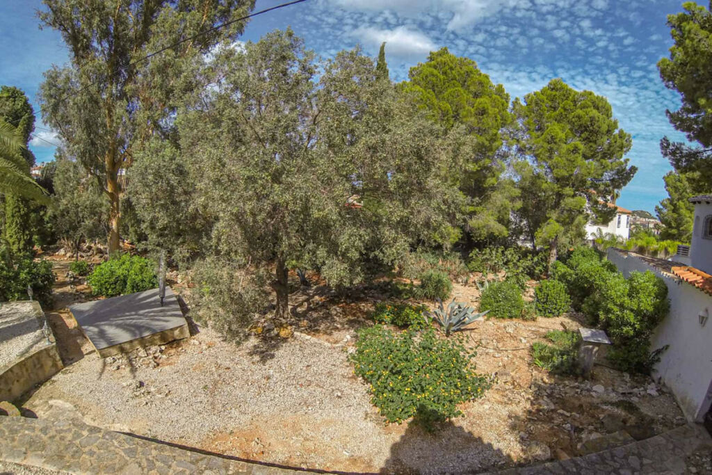 Detached Villa Denia Alicante - image 30