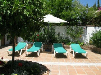 Finca - Cortijo Alcaucín Málaga - image 14