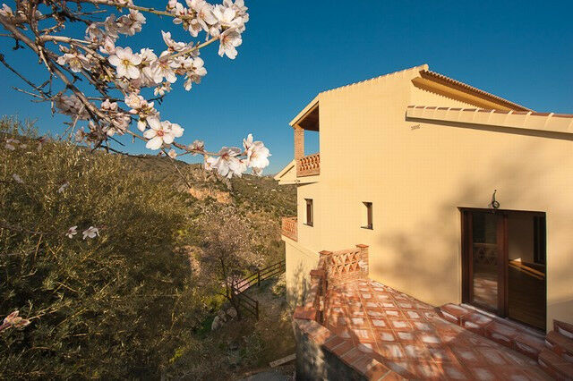Detached Villa Comares Málaga - image 14