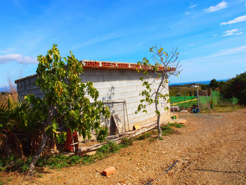 Finca - Cortijo Benajarafe Málaga - image 14