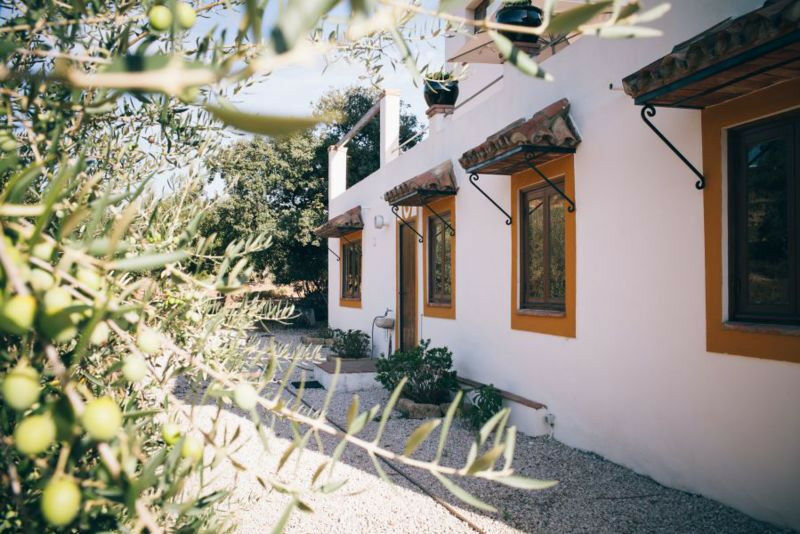 Detached Villa Riogordo Málaga - image 15