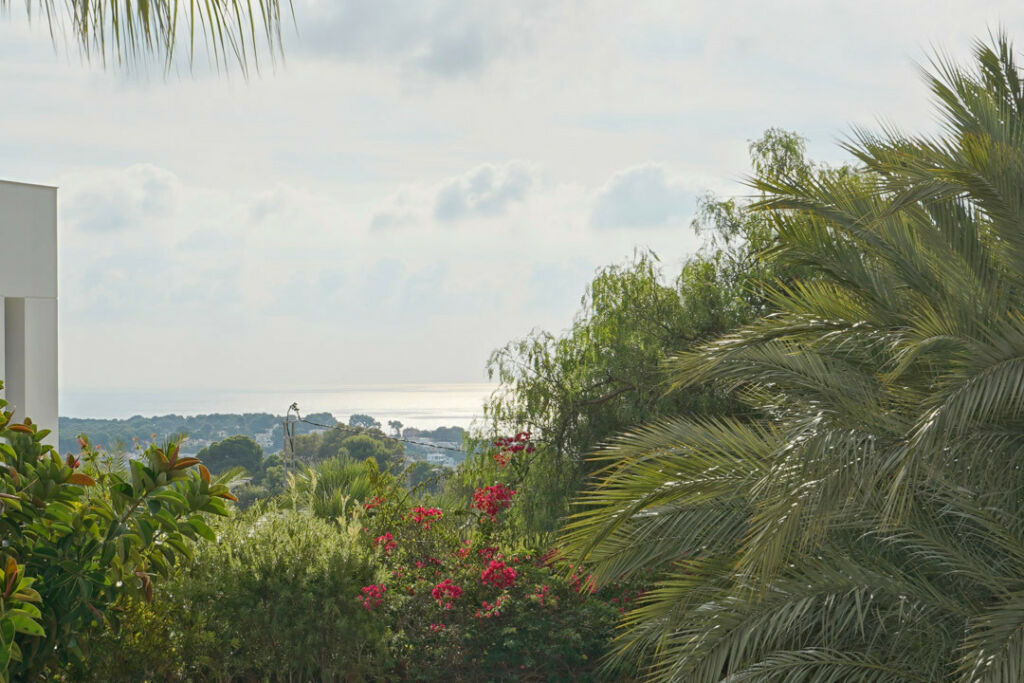 Detached Villa Benissa Alicante - image 15