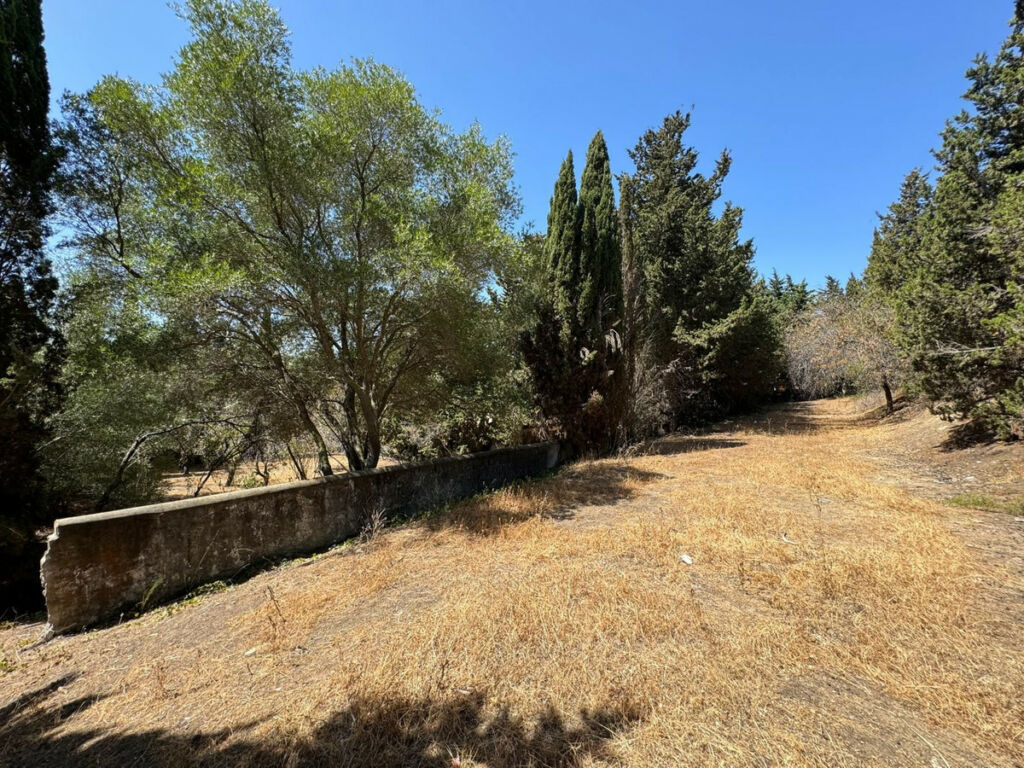 Residential Plot San Roque Cádiz - image 15