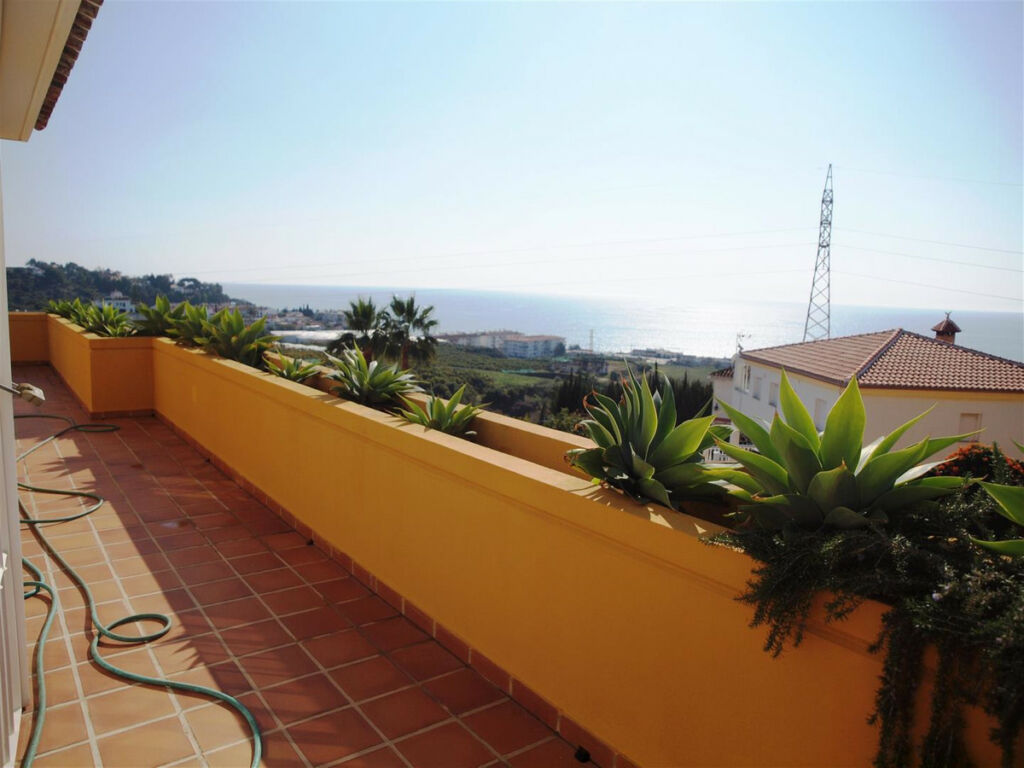 Detached Villa Mezquitilla Málaga - image 15