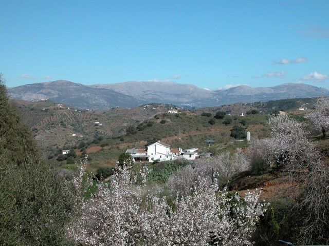 Bed and Breakfast Colmenar Málaga - image 15