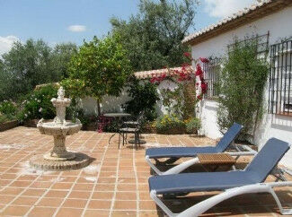 Finca - Cortijo Alcaucín Málaga - image 15