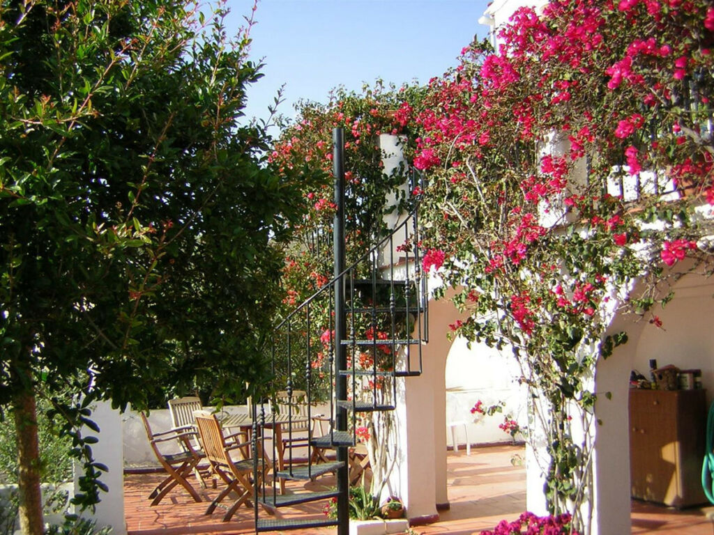 Detached Villa Chilches Málaga - image 15