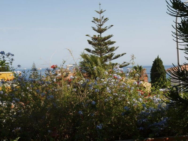 Detached Villa Chilches Málaga - image 15