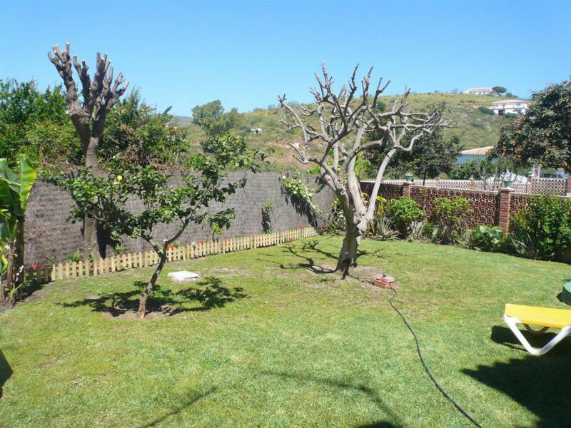 Detached Villa Benajarafe Málaga - image 15