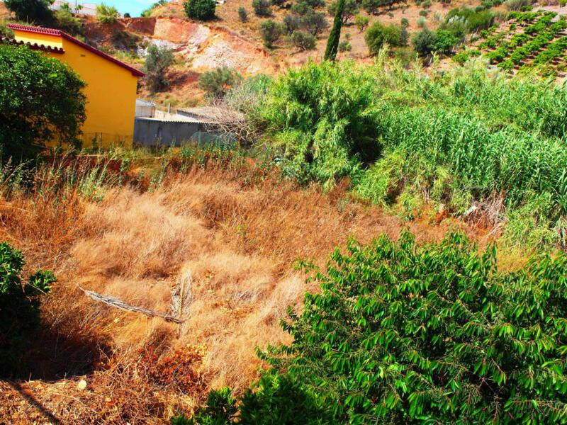 Finca - Cortijo Almayate Málaga - image 15