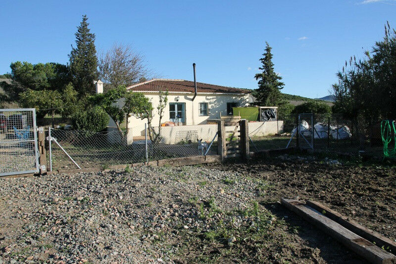 Finca - Cortijo Jimena de la Frontera Cádiz - image 15