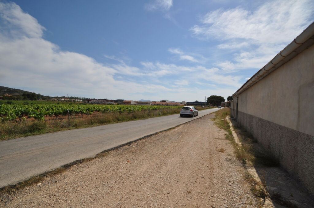 Finca - Cortijo Pinoso Alicante - image 15