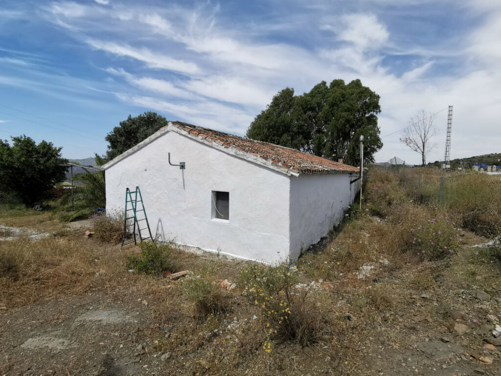 Finca - Cortijo Triana Málaga - image 15