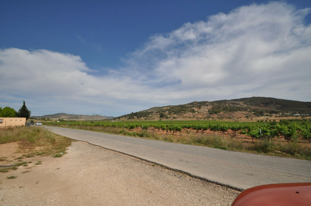 Finca - Cortijo Pinoso Alicante - image 16