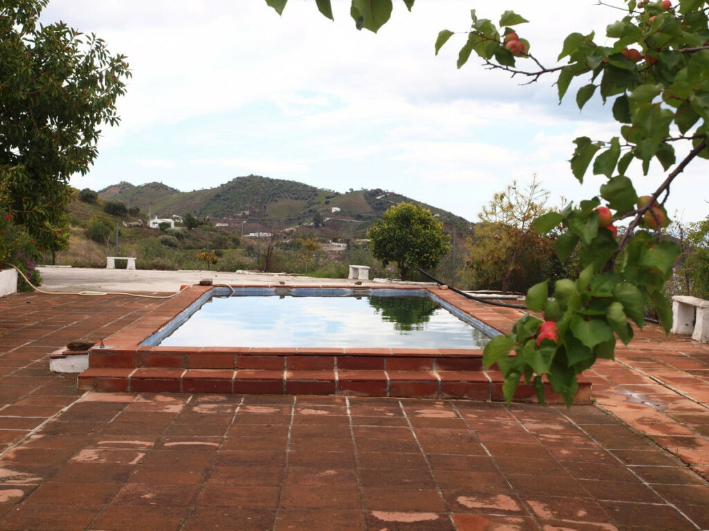 Finca - Cortijo Iznate Málaga - image 16