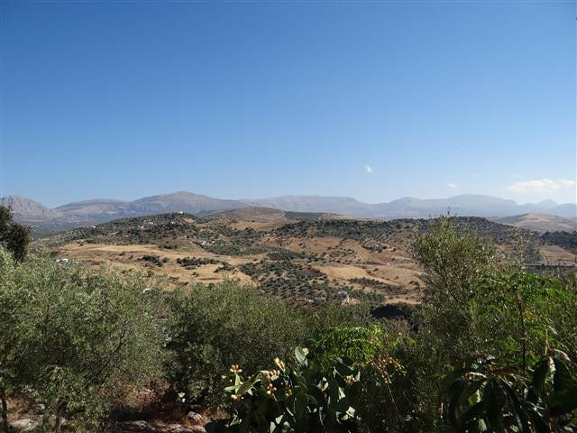 Finca - Cortijo Colmenar Málaga - image 16