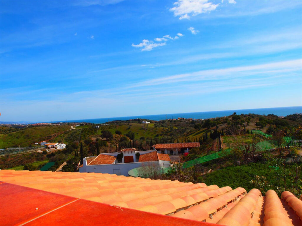 Finca - Cortijo Benajarafe Málaga - image 16