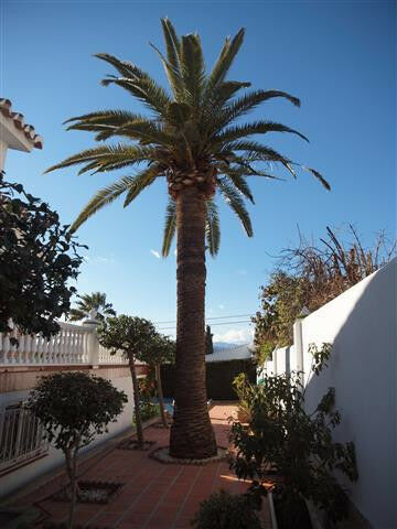 Detached Villa Caleta de Vélez Málaga - image 16