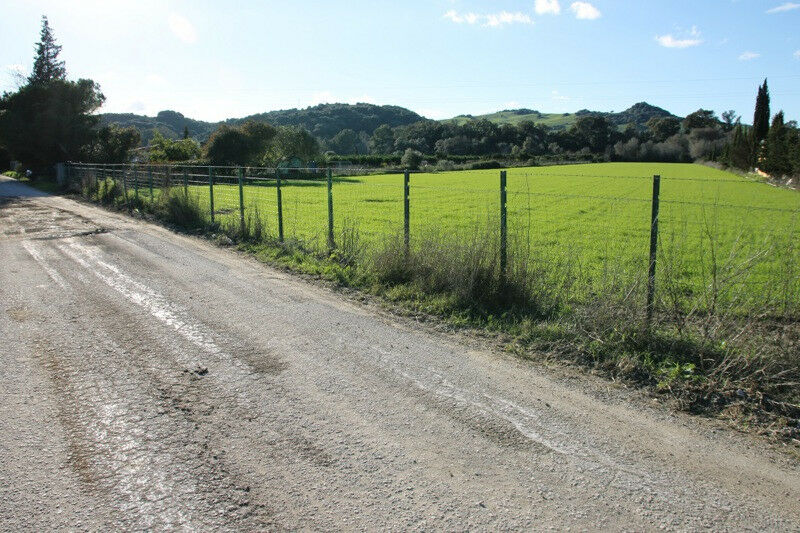Finca - Cortijo Jimena de la Frontera Cádiz - image 16