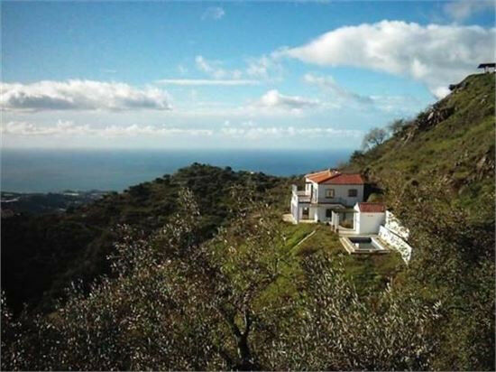 Finca - Cortijo Algarrobo Málaga - image 17