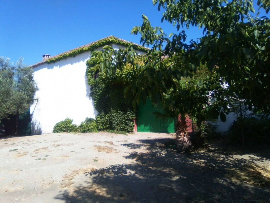 Finca - Cortijo Alcaucín Málaga - image 17