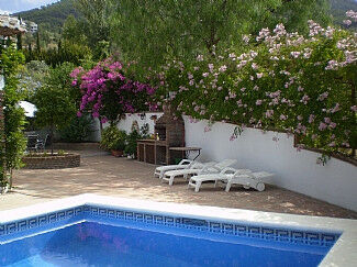 Finca - Cortijo Alcaucín Málaga - image 17